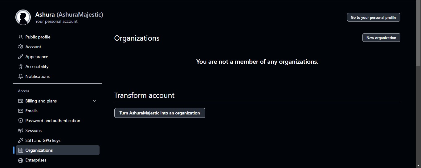 Click On New Organization